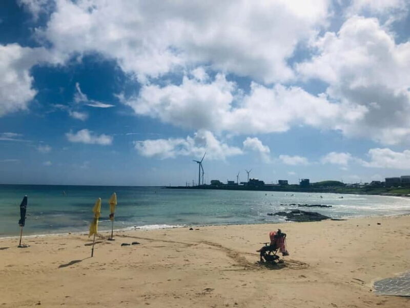 Jeju Island: Customized Private Full-Day Van Tour - Key Points