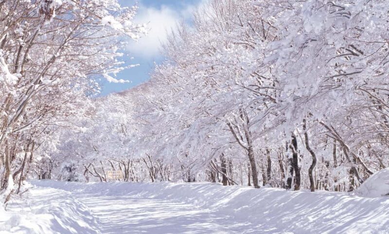 Jeju Island: East Jeju UNESCO Highlights Full-Day Tour - Key Points