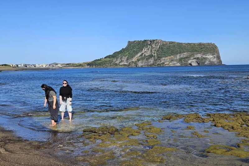 Jeju Island: East Jeju UNESCO Highlights Full-Day Tour - The Real Value of the Tour