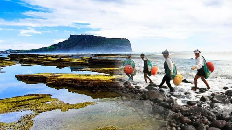 Jeju Island: East Jeju UNESCO Highlights Full-Day Tour - Weather and Clothing