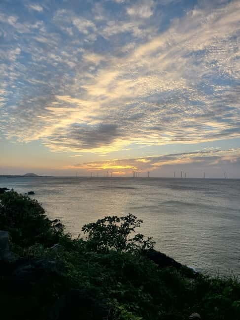 Jeju Island: Hallasan Mountain Winter Scenery Guided Tour - Exploring Jeju’s Snowy Majesty: A Detailed Review