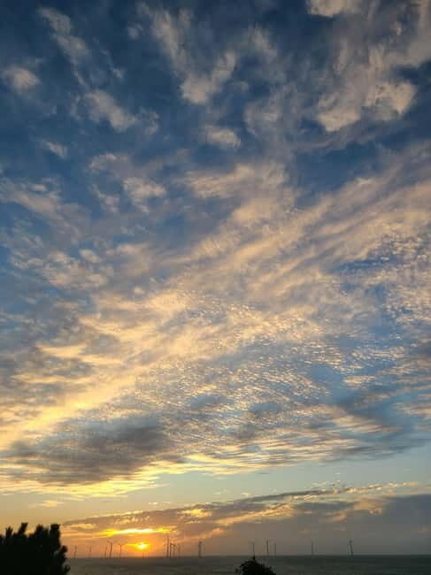 Jeju Island: Hallasan Mountain Winter Scenery Guided Tour - The Sum Up