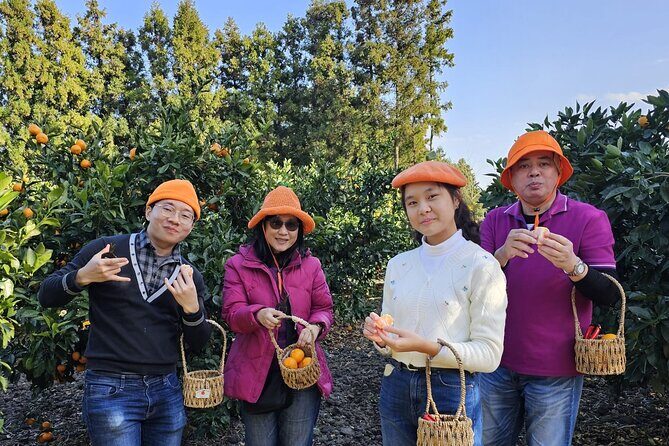 Jeju island Jumbo taxi Private Tour with Mr.Hong west of jeju - Key Points