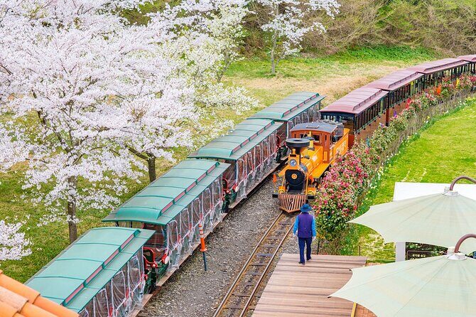 Jeju island private DAY Tour - South of Jeju - Key Points