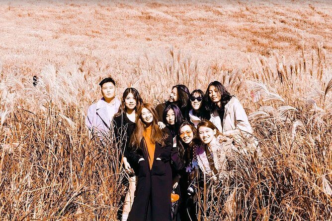 Jeju Island Private Taxi Tour : 3 Full days - A Deep Dive into the Jeju Island Private Taxi Tour