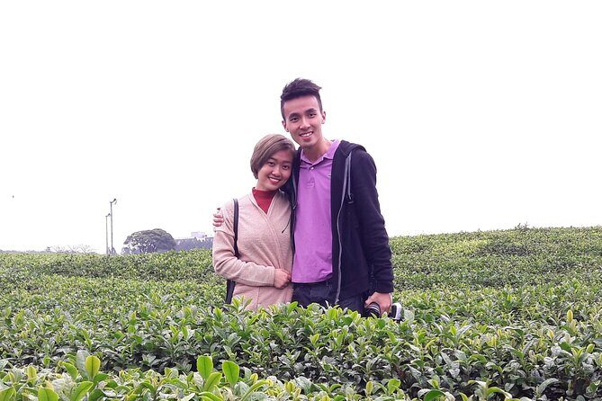 Jeju Island Private Taxi Tour in O`sulloc & Innisfree & Iho Beach - A Close Look at the Jeju Private Taxi Tour