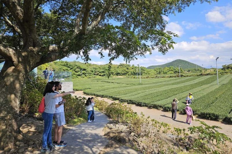 Jeju Island: SouthWest UNESCO Highlights Full-Day Tour - Key Points