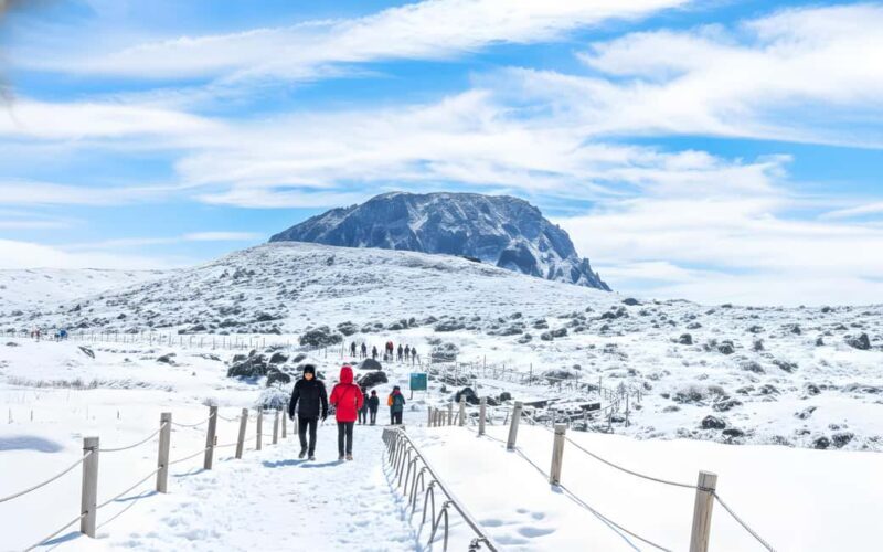 Jeju Island: SouthWest UNESCO Highlights Full-Day Tour - Exploring Jeju’s Natural Wonders and Cultural Gems