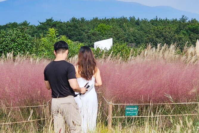 Jeju Island Taxi Join Tour - Key Points