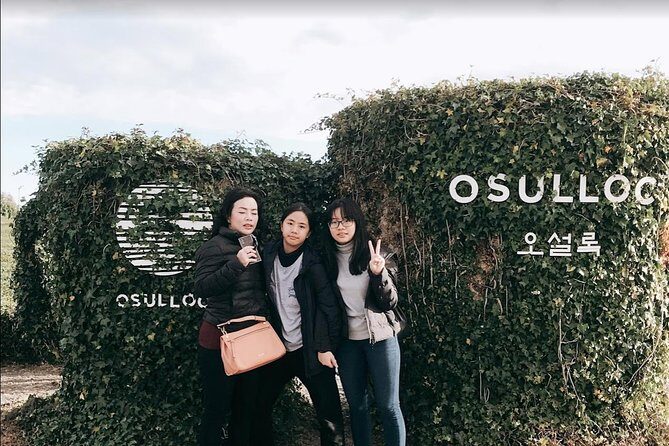 Jeju Island Taxi Tour - West Day Tour - FAQ: Your Practical Questions Answered