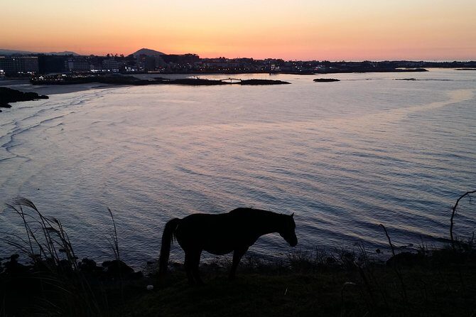 Jeju island: Van tour with a guide who the most loves JEJU - Who Should Consider This Tour?