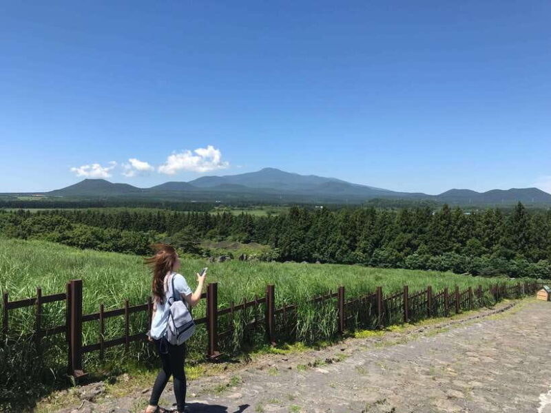 Jeju island: Van tour with a guide who the most loves JEJU - An In-Depth Look at the Jeju Van Tour Experience