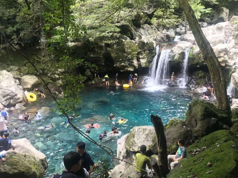 Jeju island: Van tour with a guide who the most loves JEJU - Why This Tour is a Great Choice