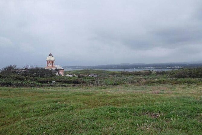 Jeju Private Full day tour of UNESCO Day Tour - Who Is This Tour Best For?