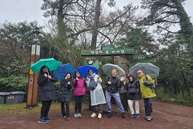 Jeju Private Half-Day Tour for Cruise Customers - Exploring Jeju’s Highlights in a Half-Day
