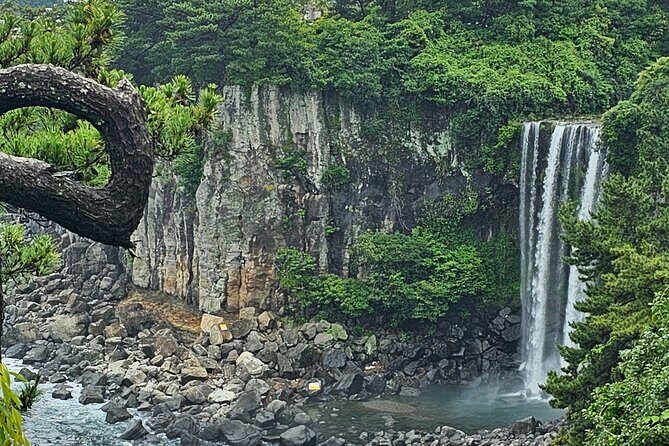 Jeju Private Tour Package-South of Jeju(Mt.Hallasan & Waterfalls) - The Experience of Transportation and Guides