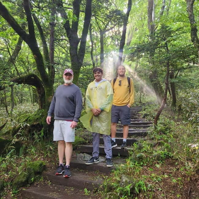 Jeju: Southern UNESCO Geopark Day Tour - Who Will Enjoy This Tour?