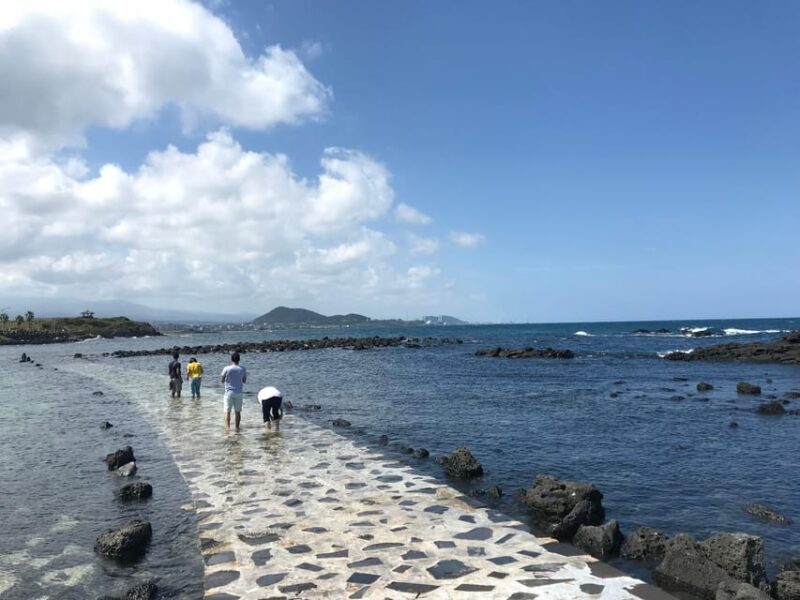 Jeju: West of Jeju Island Bus Tour from Seogwipo City - The Sum Up