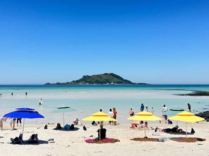 Jeju West: Small Group Healing Tour w/Caves & Dolphins - Key Points