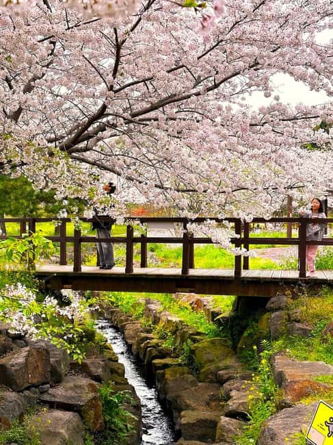 Jeju West Small Group Tour Cherry Blossom Strawberry Picking - Who Should Consider This Tour?