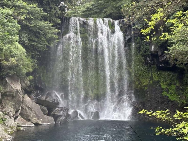 Jeju West Small Group Tour Cherry Blossom Strawberry Picking - FAQs
