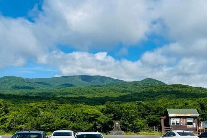 Jeju Western and Southern Routes Sightseeing Day Tour - The Detailed Experience: What You Can Expect