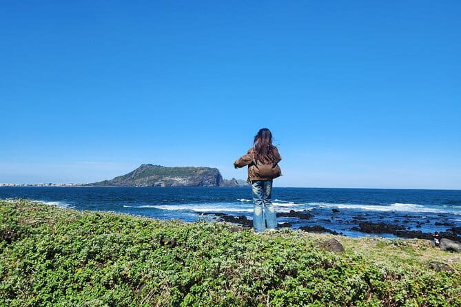 Jeju Western and Southern Routes Sightseeing Day Tour - Who Is This Tour Best For?