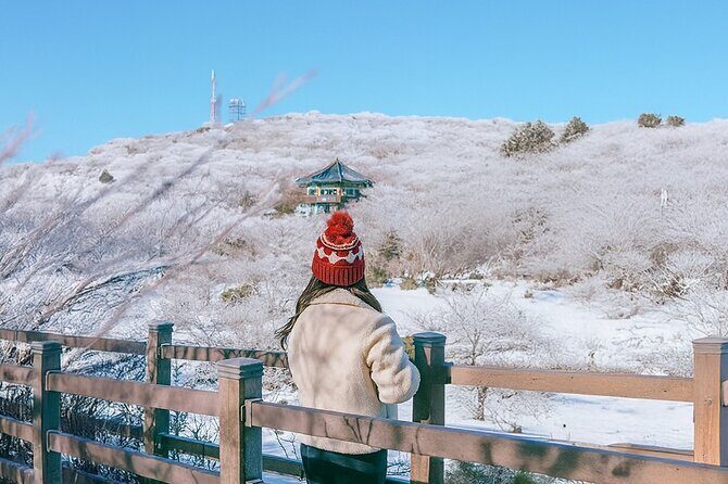 Jeju WEST&SOUTH One Day Tour with MT.halla & UNESCO - A Complete Look at the Jeju WEST & SOUTH One Day Tour