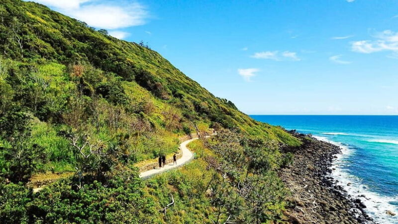 Jellurgal Walkabout - Jellurgal Walkabout: Experience Aboriginal Culture on the Gold Coast
