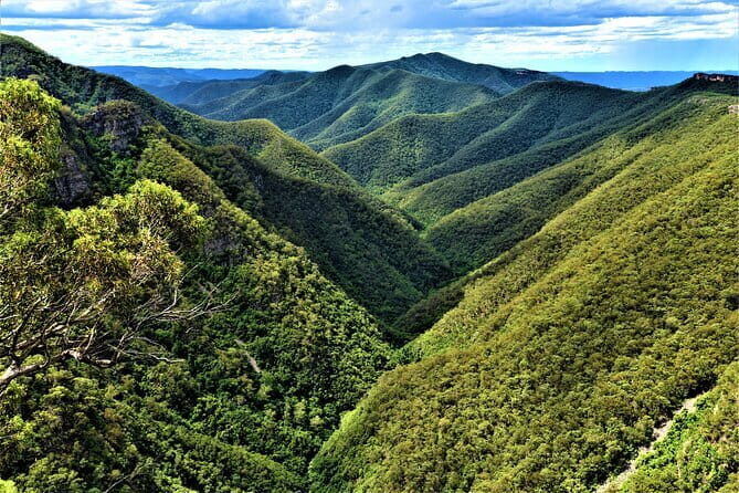 Jenolan Caves Blue Mountains Day Tour + River cruise - The Sum Up