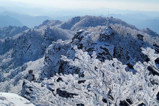 Jeonju Hanok Village and Daedunsan Serenity Nature Tour - A Full Breakdown of the Jeonju Hanok Village and Daedunsan Serenity Nature Tour