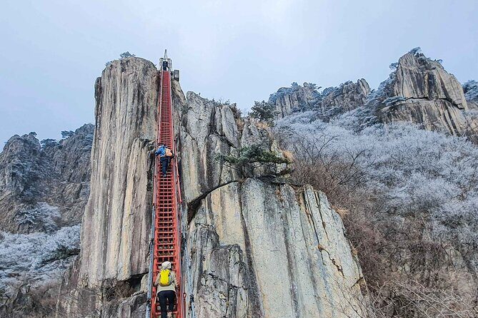 Jeonju Hanok Village and Daedunsan Serenity Nature Tour - FAQ