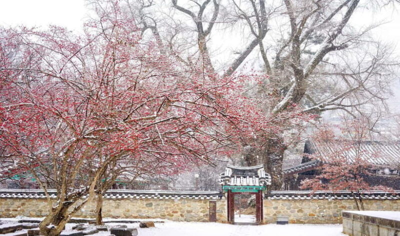 Jeonju Hanok Village and Daedunsan Serenity Nature Tour - Key Points