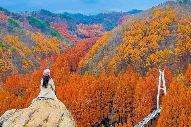 Jeonju Hanok Village and Jangtaesan Nature Tour - A Detailed Look at the Tour Experience