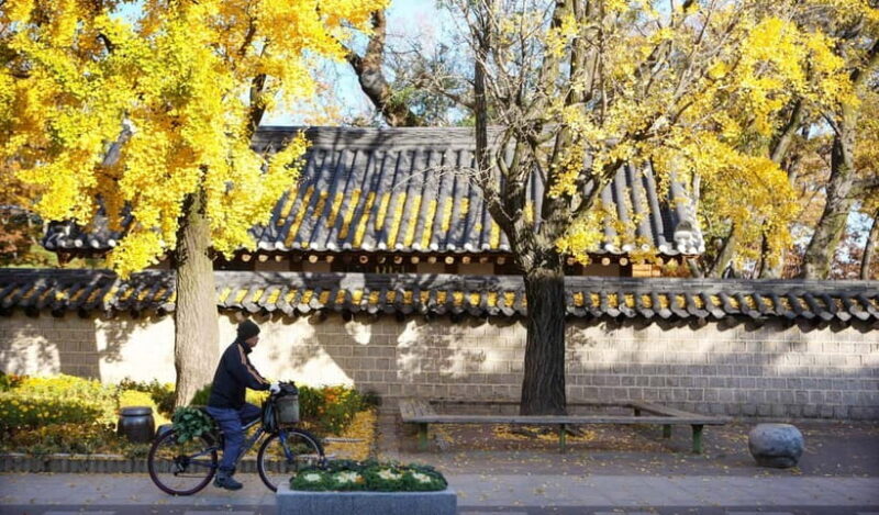 Jeonju Hanok Village Full-Day Tour:Jangtaesan Autumn Foliage - The Sum Up: Is This Tour Worth It?