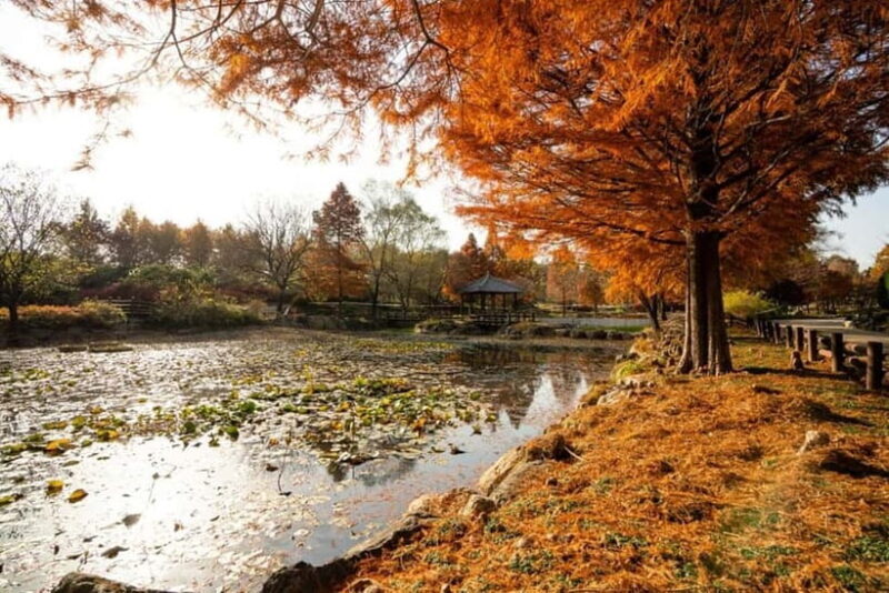 Jeonju: Private Taxi Tour Car Charter - The Value of a Private Tour