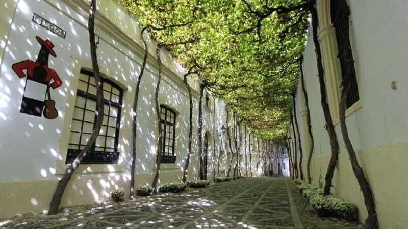 Jerez: 1.5-Hour Sherry Winery and Tasting Tour - Experience the Flavors of Jerez: A 1.5-Hour Sherry Winery and Tasting Tour