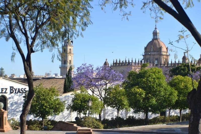 Jerez: 1.5-Hour Sherry Winery and Tasting Tour - FAQ