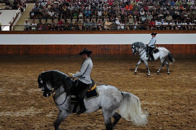 Jerez and Cadiz, with Horse Ballet and Sherry Tasting Full-day from Seville - Why This Tour Works Well for Travelers