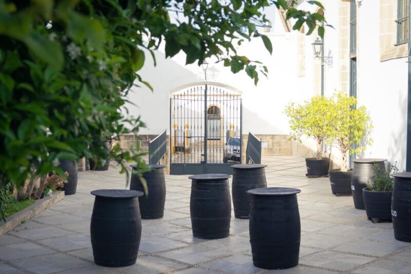 Jerez: Bodegas Álvaro Domecq Guided Tour with Wine Tasting - Why This Tour Really Works