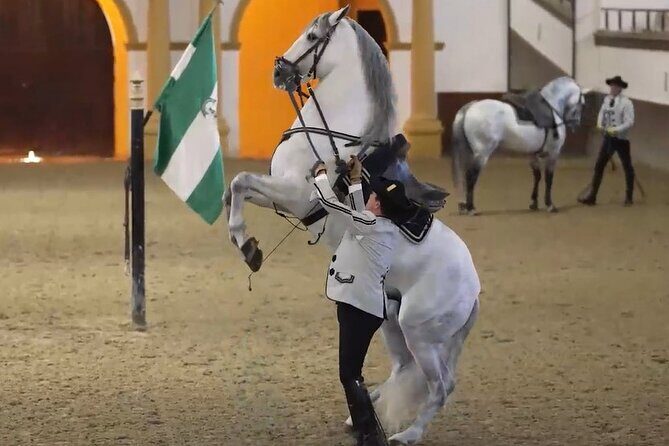 Jerez & Cadiz Winery with Tasting & Opt Horse Show from Seville - Experience the Best of Andalusia: Jerez & Cádiz from Seville