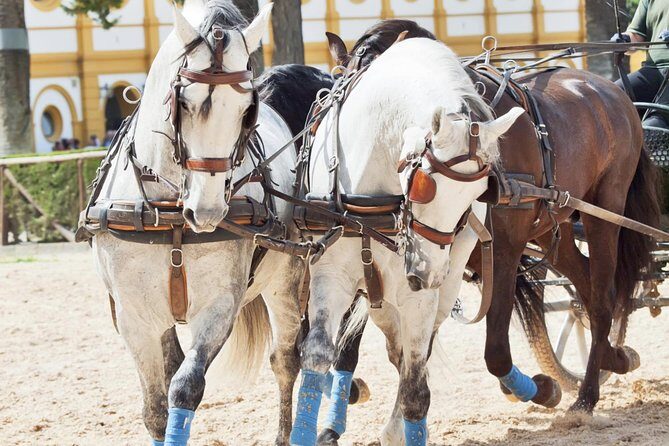 Jerez & Cadiz Winery with Tasting & Opt Horse Show from Seville - Who Should Consider This Tour?