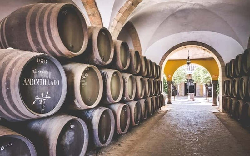 Jerez City Guided Tour and Winery Visit - Final Words