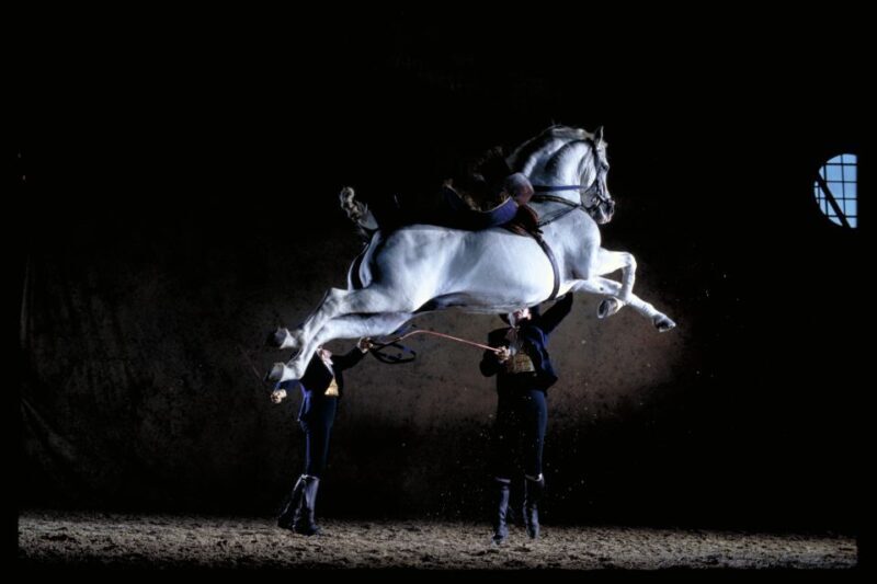 Jerez de la Frontera: Andalusian Horse Dance and Museums - Key Points