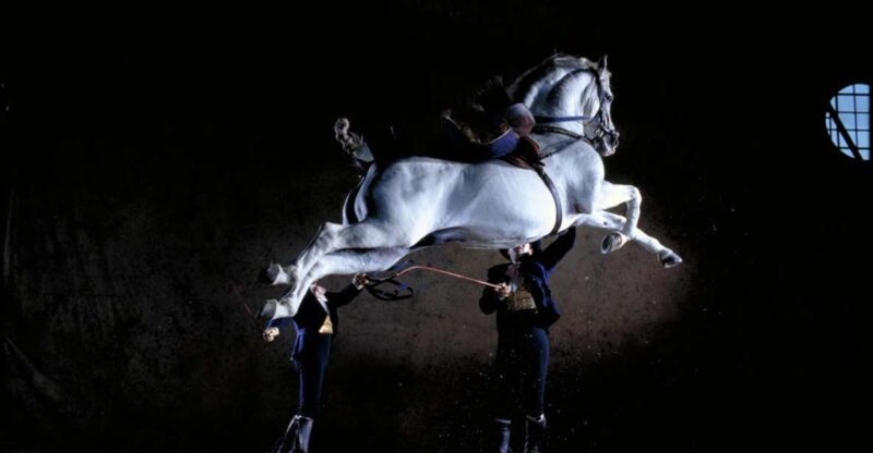 Jerez de la Frontera: Andalusian Horse Dance and Museums - A Deep Dive into the Experience