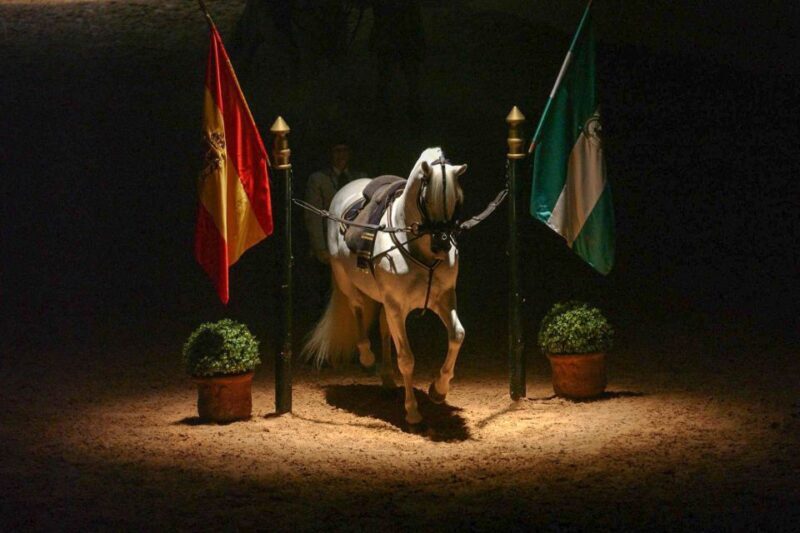 Jerez de la Frontera: How the Andalusian Horses Dance - FAQ