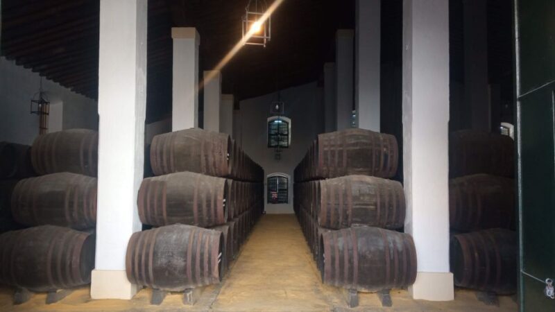 Jerez de la Frontera: Sherry Winery Tour with Tasting - Who Will Love This Tour?