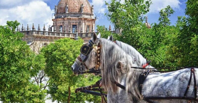Jerez: Historic Center Guided Tour - Frequently Asked Questions