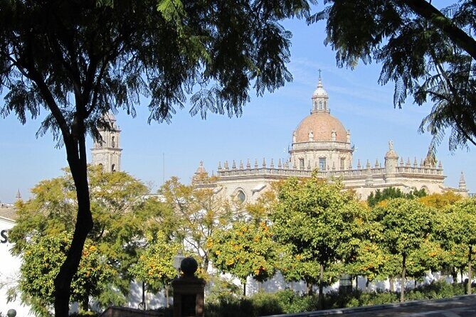 Jerez Historic Guided Tour and Alcazar - A Deep Dive Into the Jerez Guided Tour Experience