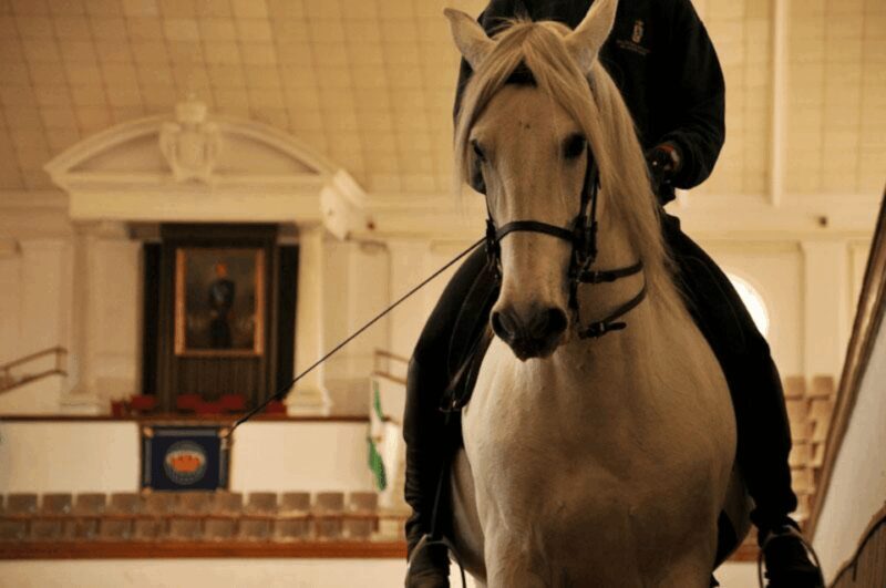 Jerez Private Tour From Seville: Wine and Equestrian Art - Practical Details and Value